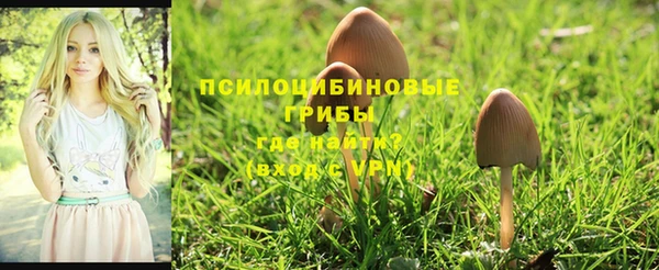 кокаин колумбия Абаза